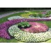 Устройство клумб из многолетних растений цветов сделать цветник услуги по благоустройству в Алматы компания Rostok